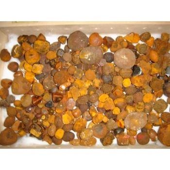 High Grade Ox Gallstones