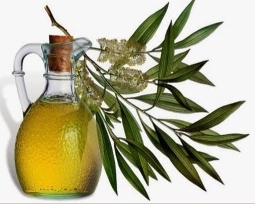 Natural Eucalyptus Essential Oil