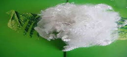 Polyester Staple Fiber