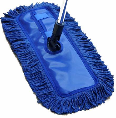 Blue Ezeclean Wet And Dry Mop