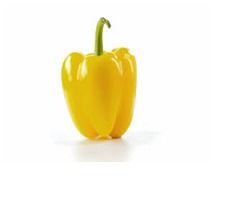 Fresh And Yellow Capsicum