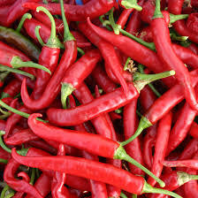 Dried Fresh Red Chillies