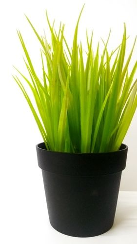 Light Green Color Artificial Plant Length: 10  Centimeter (Cm)