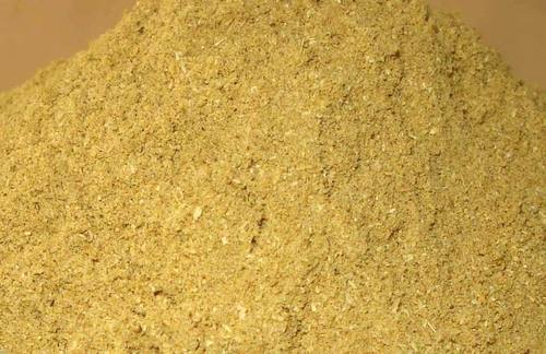 Low Price Dried Coriander Powder