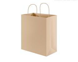 Plain Brown Paper Shopping Bag