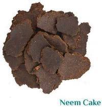 Neem Cake Oil