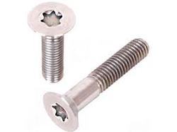 Titanium Torx Socket Low Cap Bolts