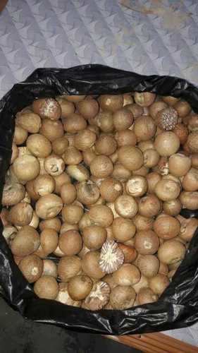 Export Quality Betel Nuts
