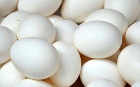 Fresh White Poultry Eggs