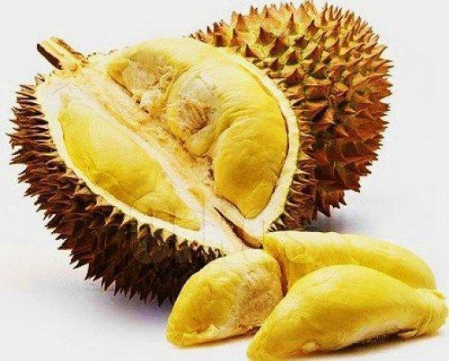 High Grade Durian Fruit