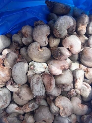 High Grade Raw Cashew Nuts