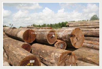 Tatabuballi Wood Timber Log Usage: Turnery