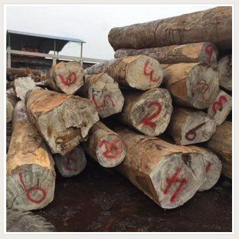 Tonka Bean Wood Timber Log Usage: Marine Constructions