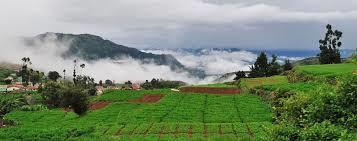 Coorg Ooty Trip Service