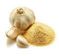 Dried Dehydrated Garlic Powder