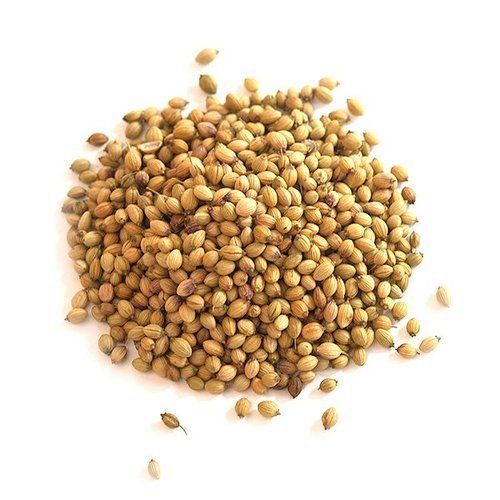 Rich Taste Coriander Seeds