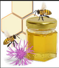 Best Dandelion Honey