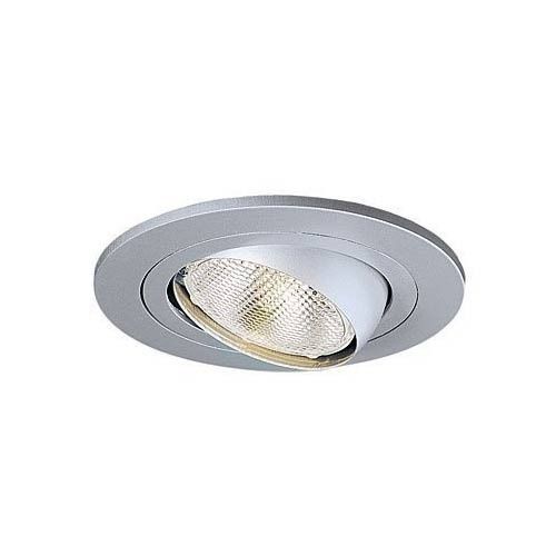 Rugged Design Commercial Recessed Light
