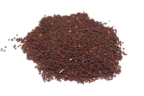 Fresh Red Mustard Seed