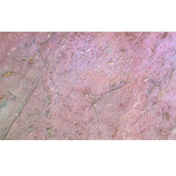 Pure Pink Slate Slab