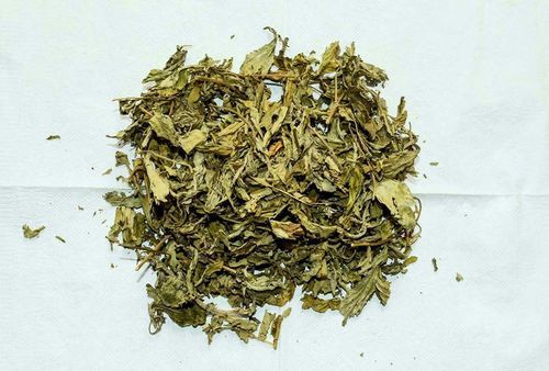 Stevia (Dry Leaves)