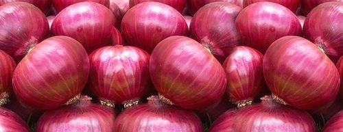 Indian Fresh Red Onion