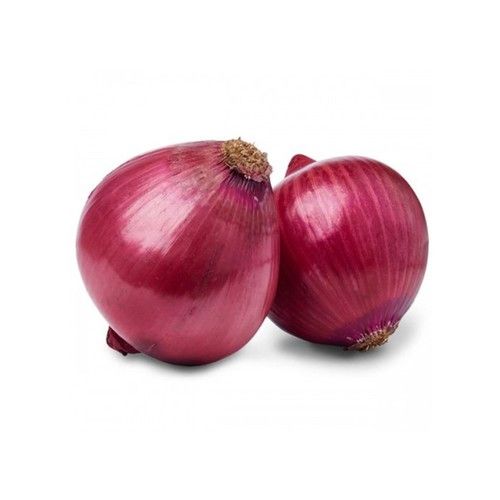 Organic Fresh Onions