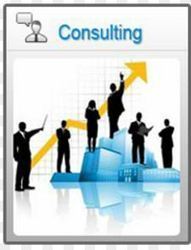 Consulting Services By Eleete Business Solutions