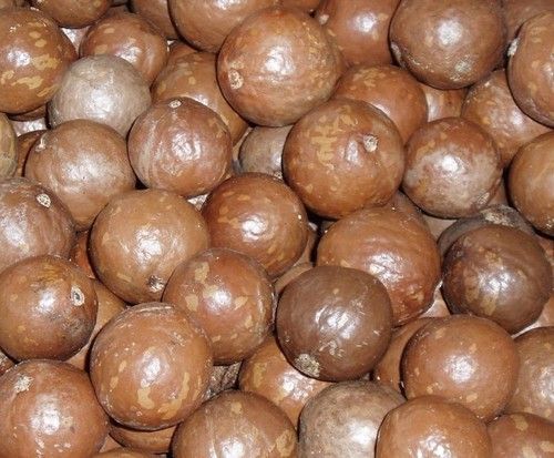 Fresh & Dried Mongogo Nuts