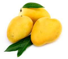 Yellow Natural Pure Fresh Mango