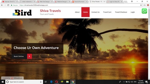 Static Website Designing Services - E-Commerce Enabled Blogging Site, Mobile Optimization, Social Media Integration, Web Hosting