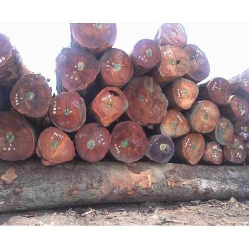 Low Price Padauk Timber