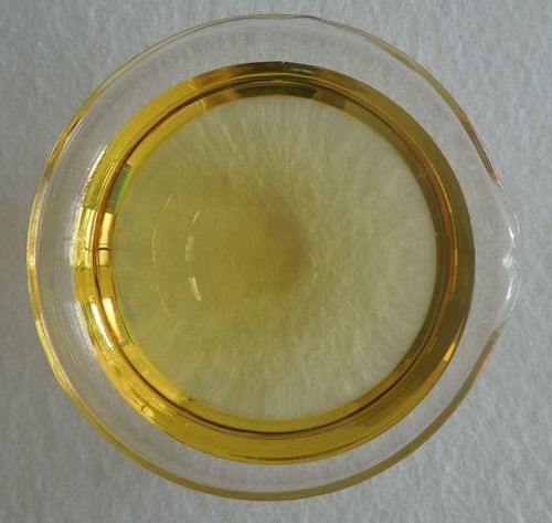 Algae Dha Oil Free Of Cholesterol For Edible Oil/Vegan Sauce/Omega 3