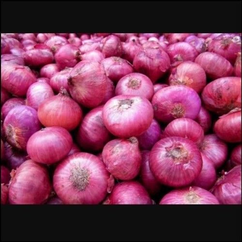 Fresh Organic Red Onion