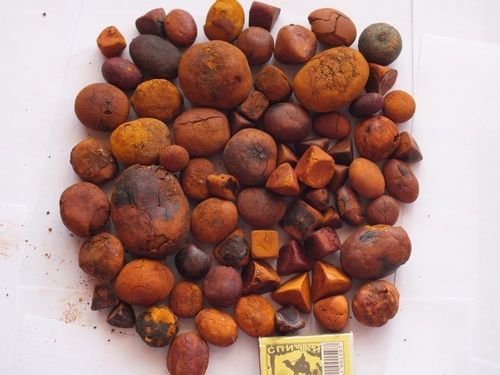 High Quality Ox And Cattle Gallstones Grade: A