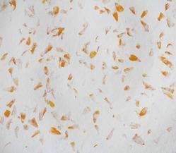 handmade petal paper