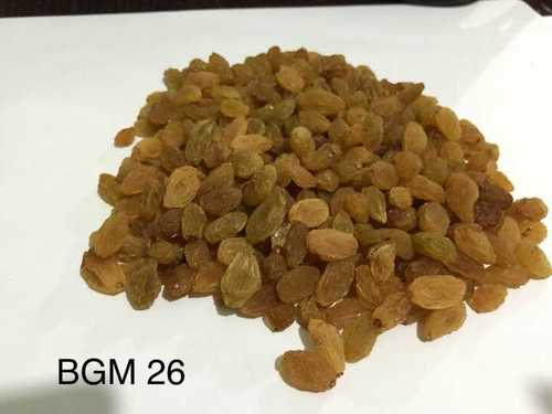 Premium Golden Dried Raisin