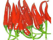 Dried Red Chili