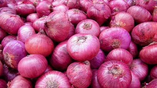 High Grade Fresh Onion