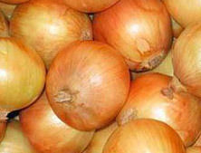 High Quality Organic Onion