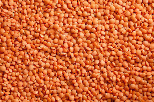 Excellent Quality Organic Red Lentils