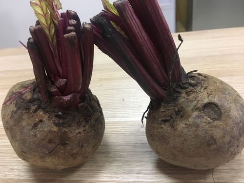 Fresh Beetroot With High Quality