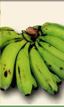 Nutrition Rich Dehydrated Banana