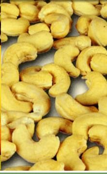 Taste Rich Cashew Nuts