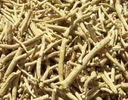 Ashwagandha Roots