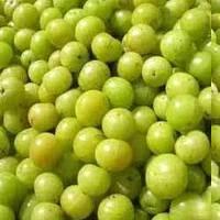 Fresh And Dry Amla