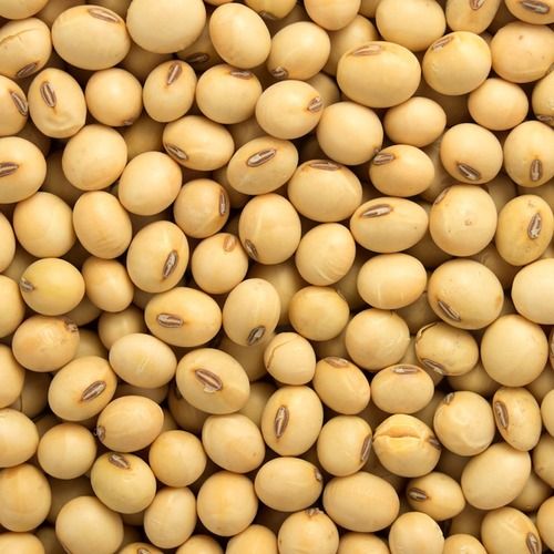 Organic Soya Beans