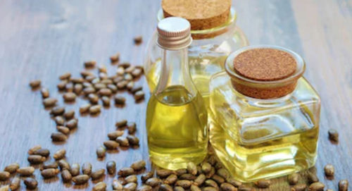 Pure Castor Seed Oil - Premium Quality, Natural Anti-Inflammatory & Antioxidant Benefits, Ideal for Cosmetics and Therapeutic Use