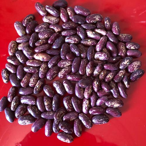 Full Hand Picked Red Speckled Beans