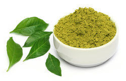 Organic Curry Leaf Powder